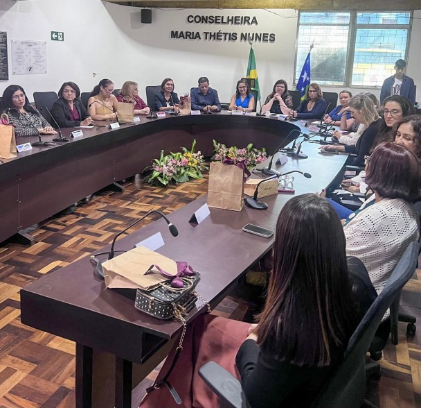 CEEd/RS fortalece protagonismo nacional na 51ª Plenária do CODISE